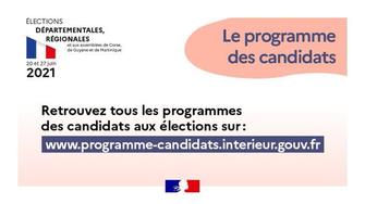 Elections départementales : consultez les programmes des candidats