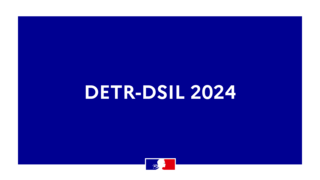 DETR-DSIL 2024